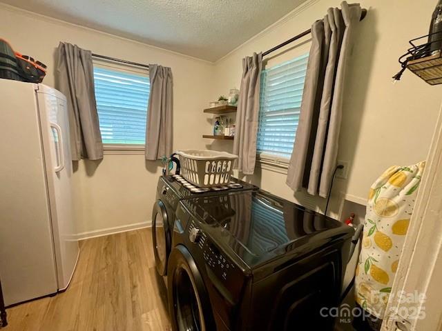 135 Michelle Drive