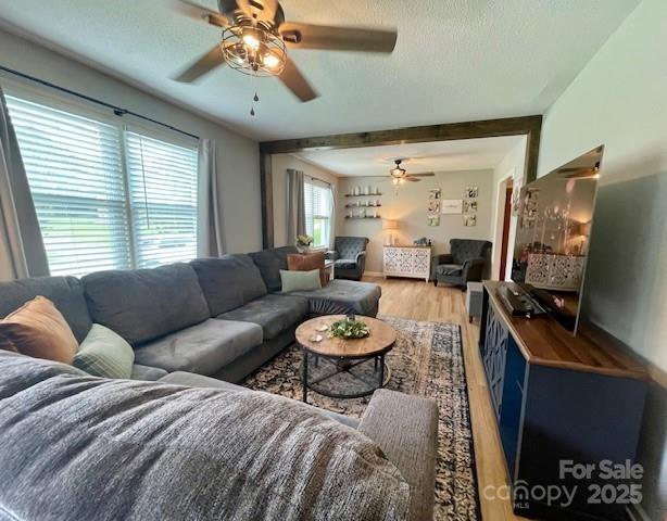135 Michelle Drive