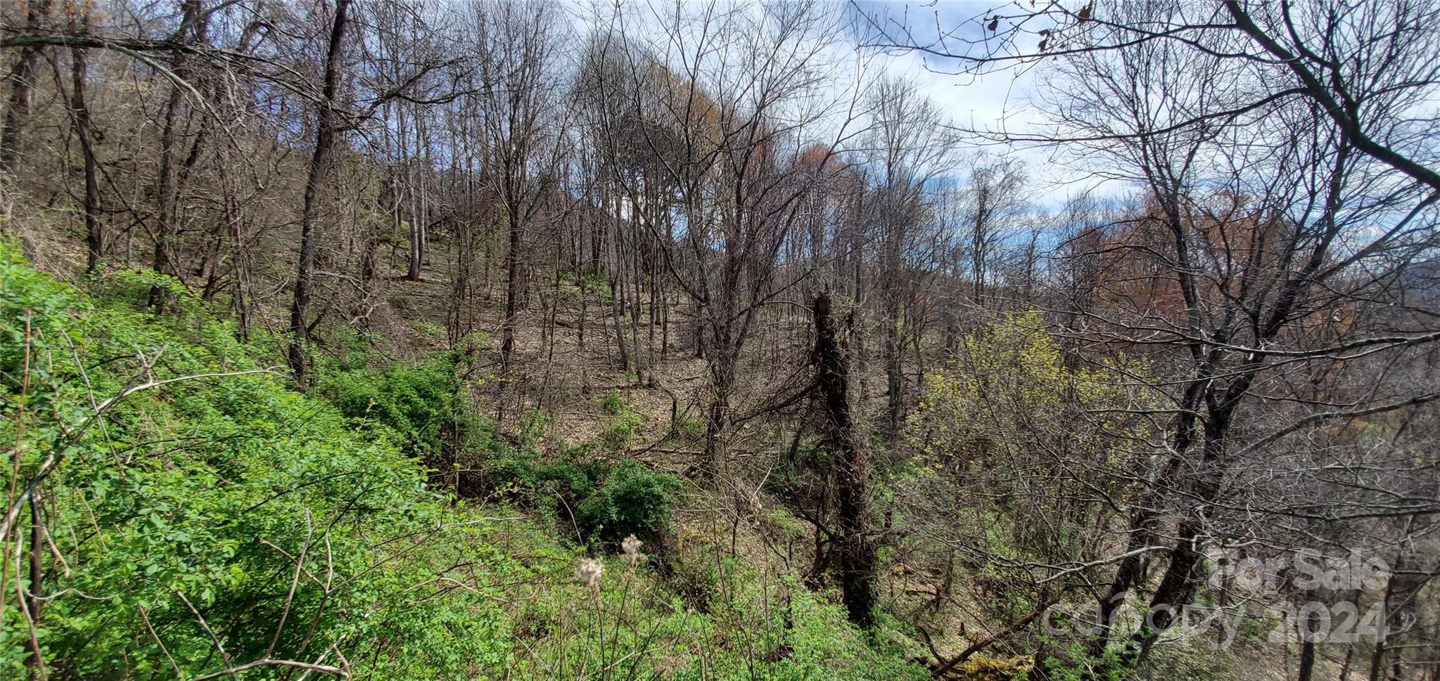 Sunset Falls at Bald Creek - Land