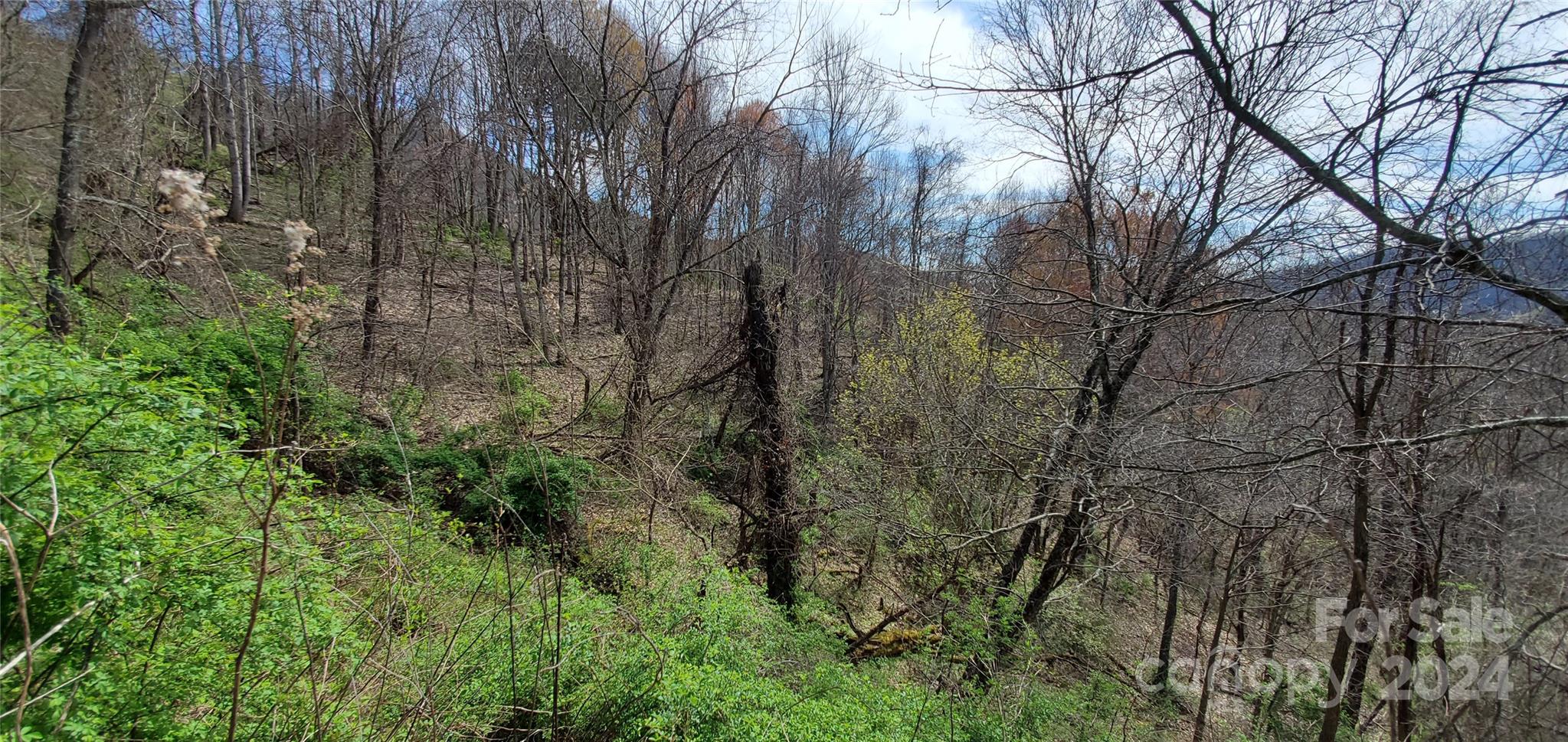 Sunset Falls at Bald Creek - Land