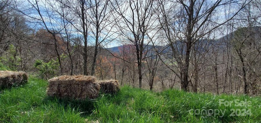 Exclusive lot in Desirable Sunset Falls at Bald Creek. Lot 9-12 sits on a private road and offers a 5.16 acres of gentle slope facing the western mountains with incredible layered sunsets. This lot can be sold in combination with adjacent lot (6) and make it a private compound of 7.45 acres. Sunset Falls is an exclusive low density gated community nestled within the heart of the Blue Ridge Mountains of Western North Carolina just 40 minutes west of downtown Asheville and 20 minutes northeast of Main Street in Waynesville with close proximity to a range of outdoor recreational opportunities: rafting, kayaking, canoeing, fly-fishing, hiking, mountain-biking, skiing, snowboarding, hot-air ballooning, hunting, skeet-shooting, etc. This mountain is comprised of approximately 150 acres and includes 30 home sites, surrounded by 292 acres of preserved land owned by The Southern Appalachian Highlands Conservancy on both its northern and eastern boundaries that will be conserved in perpetuity.