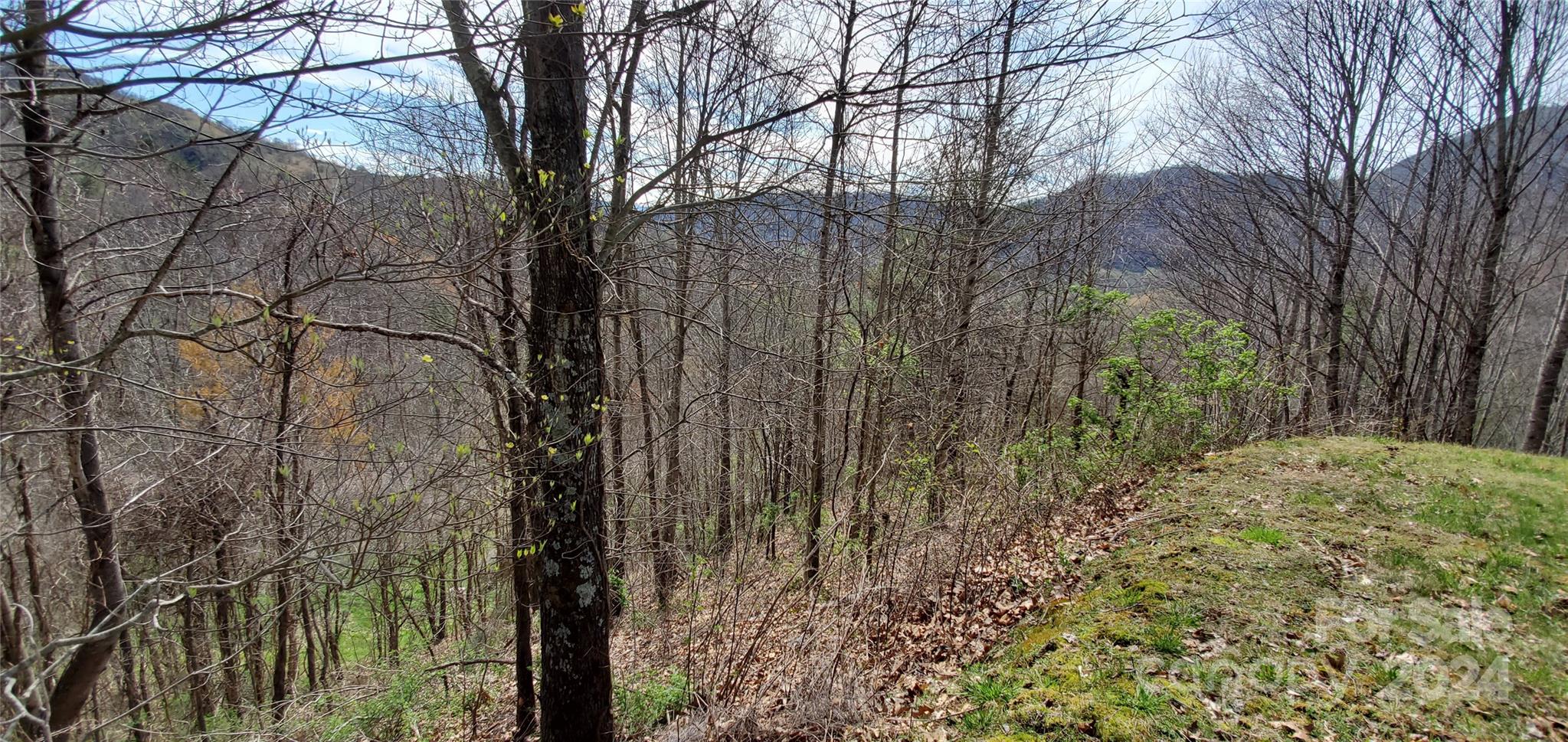 Sunset Falls at Bald Creek - Land