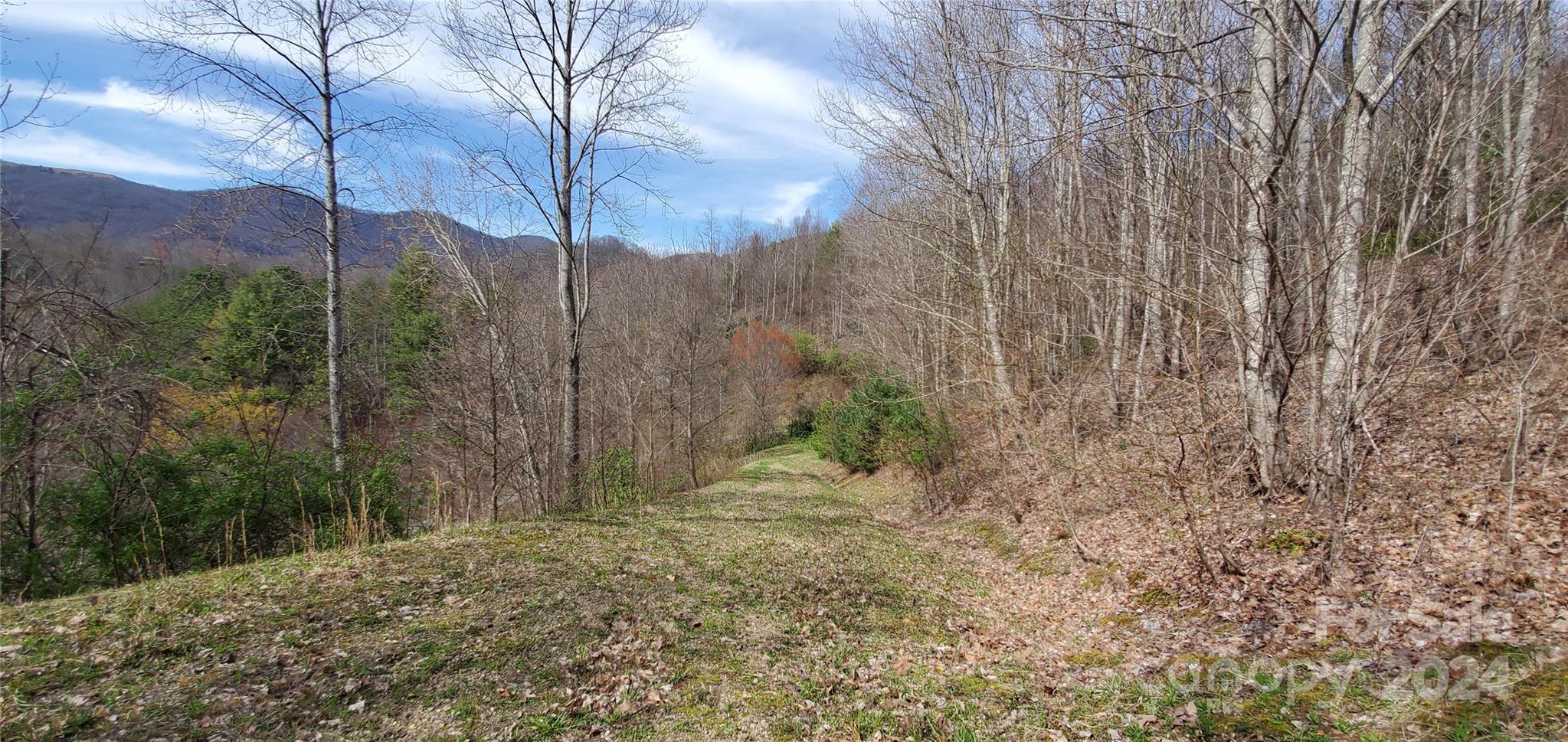 Sunset Falls at Bald Creek - Land