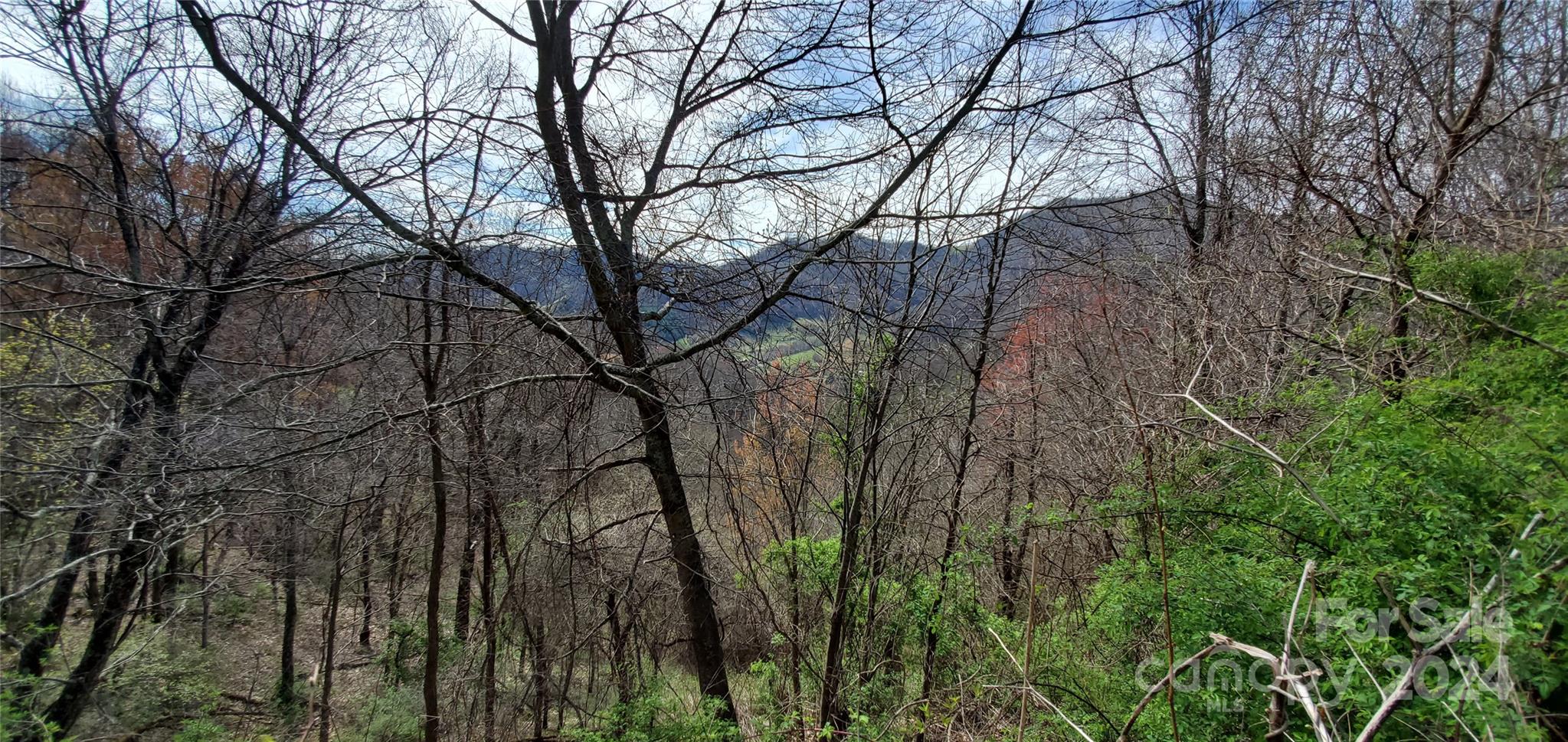 Sunset Falls at Bald Creek - Land