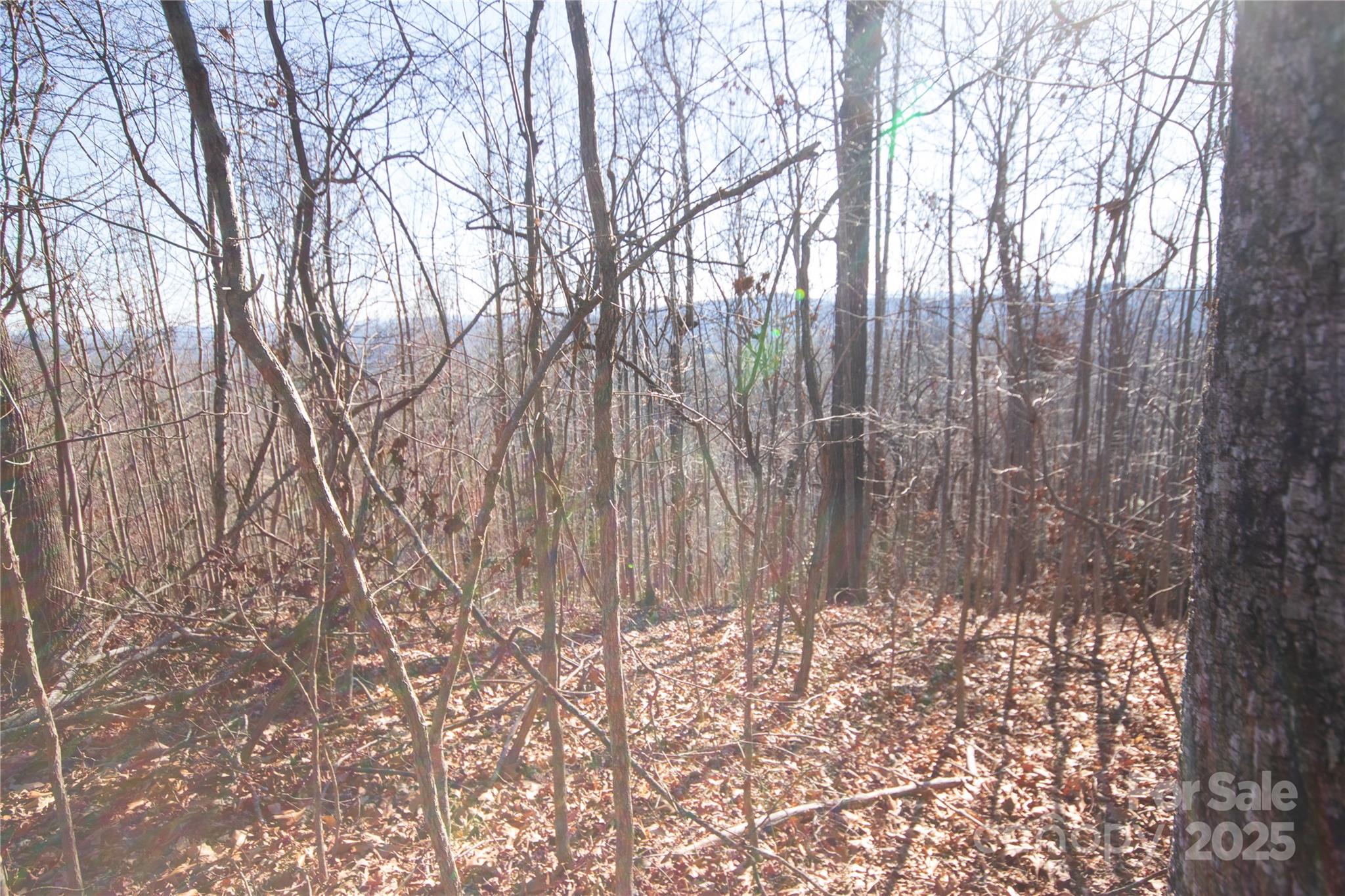 Eagle Heights - Land