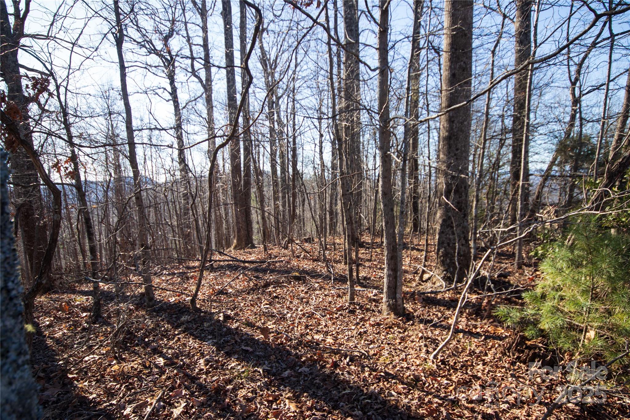 Eagle Heights - Land