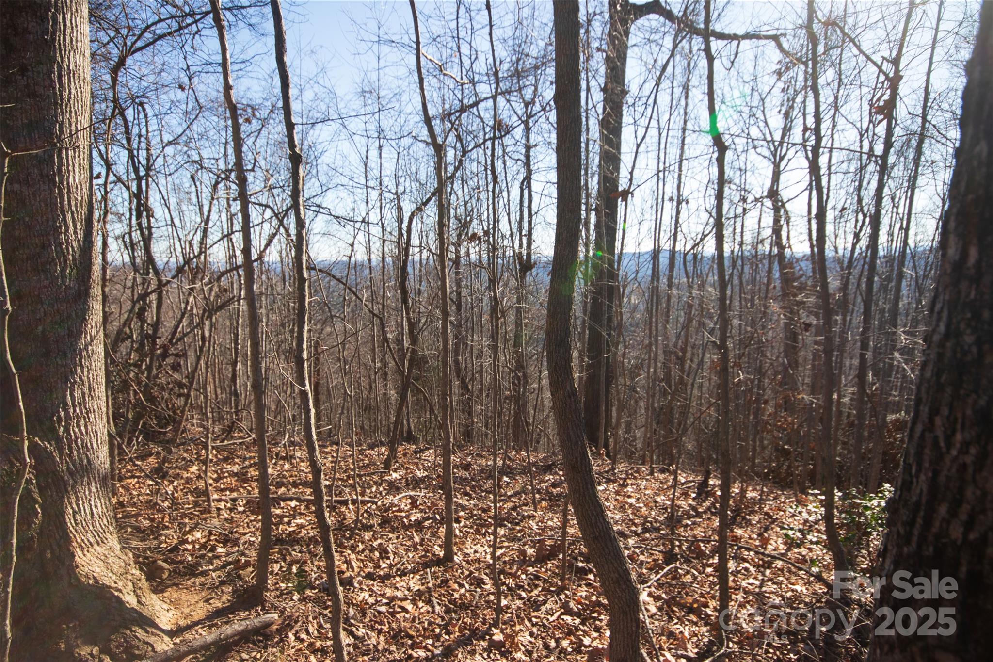 Eagle Heights - Land