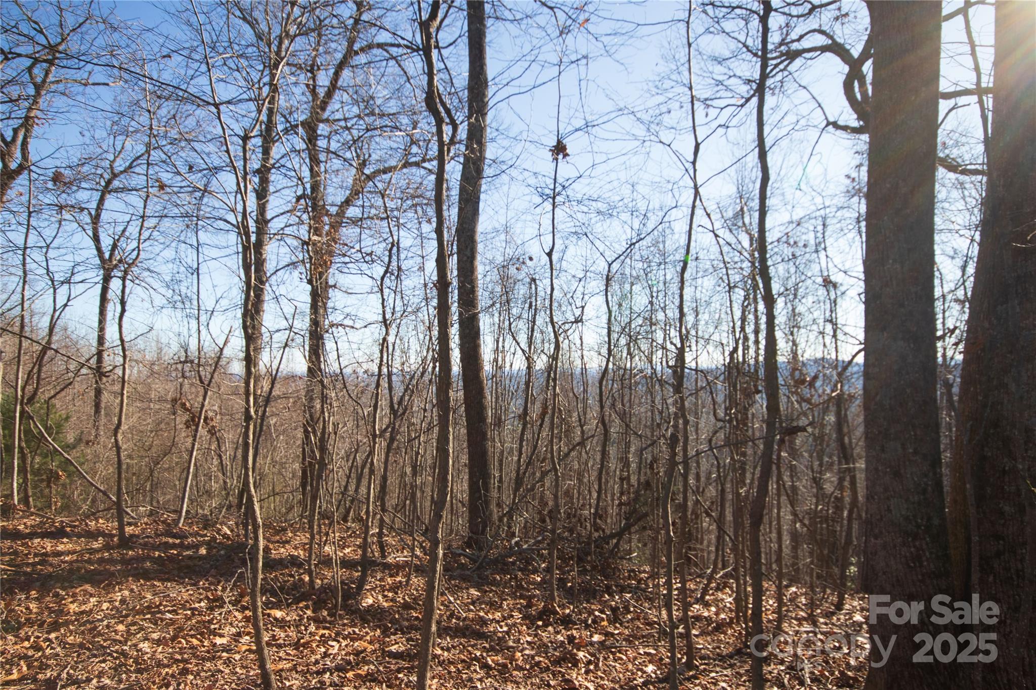 Eagle Heights - Land