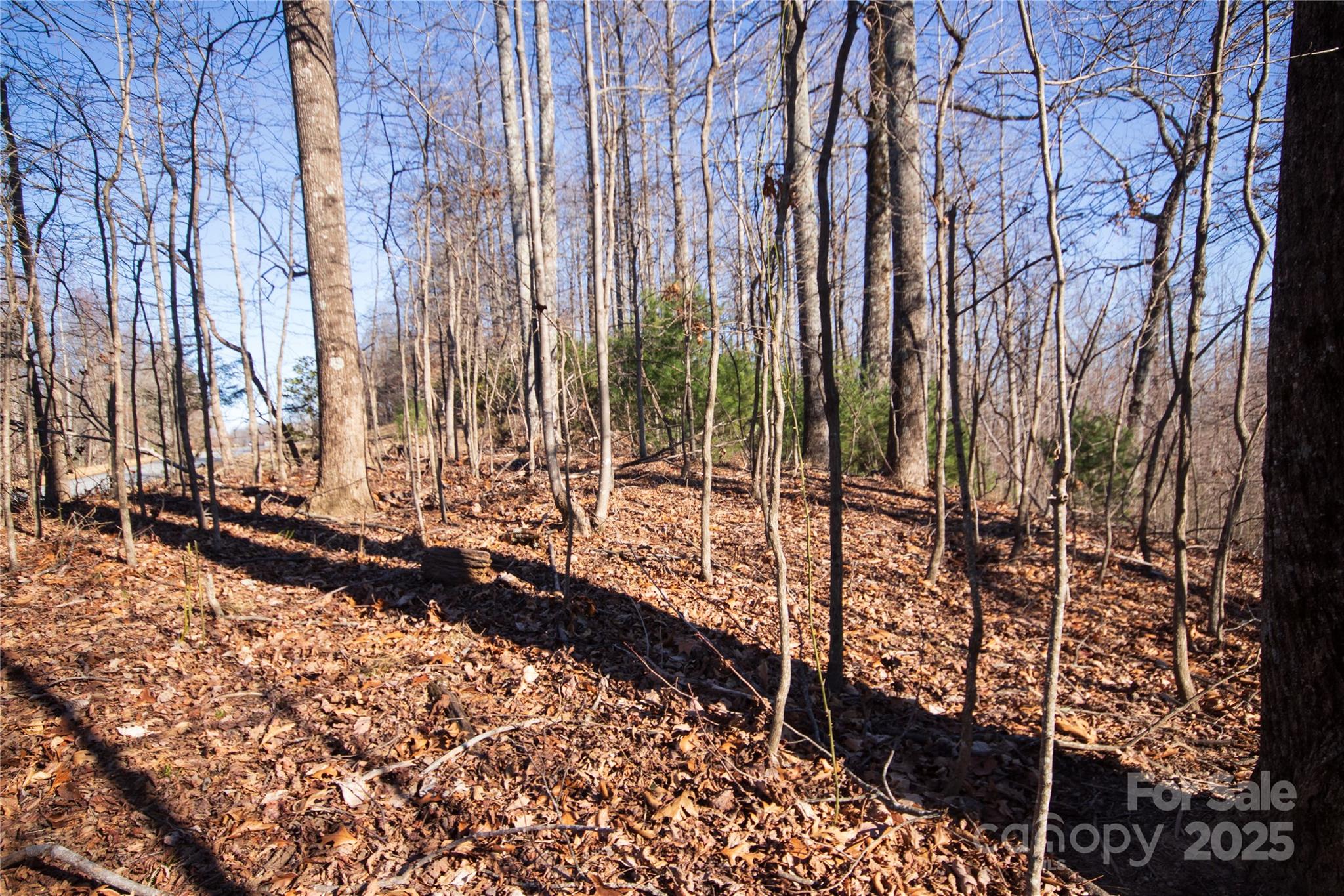 Eagle Heights - Land