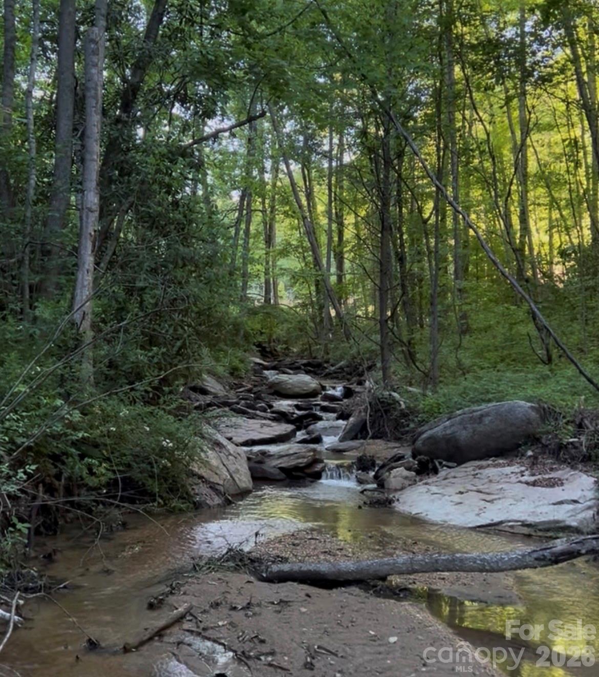 TBD Lot 3 Rush Creek Road