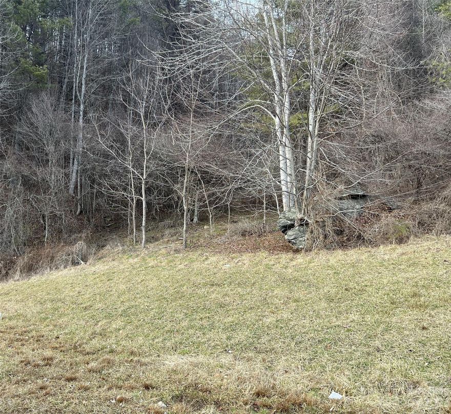 Surveyed 7.743 acres located right off US HWY 19.  Close to Burnsville, 20 minutes to downtown Asheville.  Great building site on top with views!  First time on market!