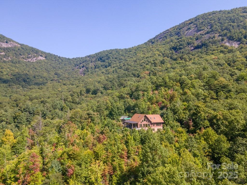 37 Jones Knob Road