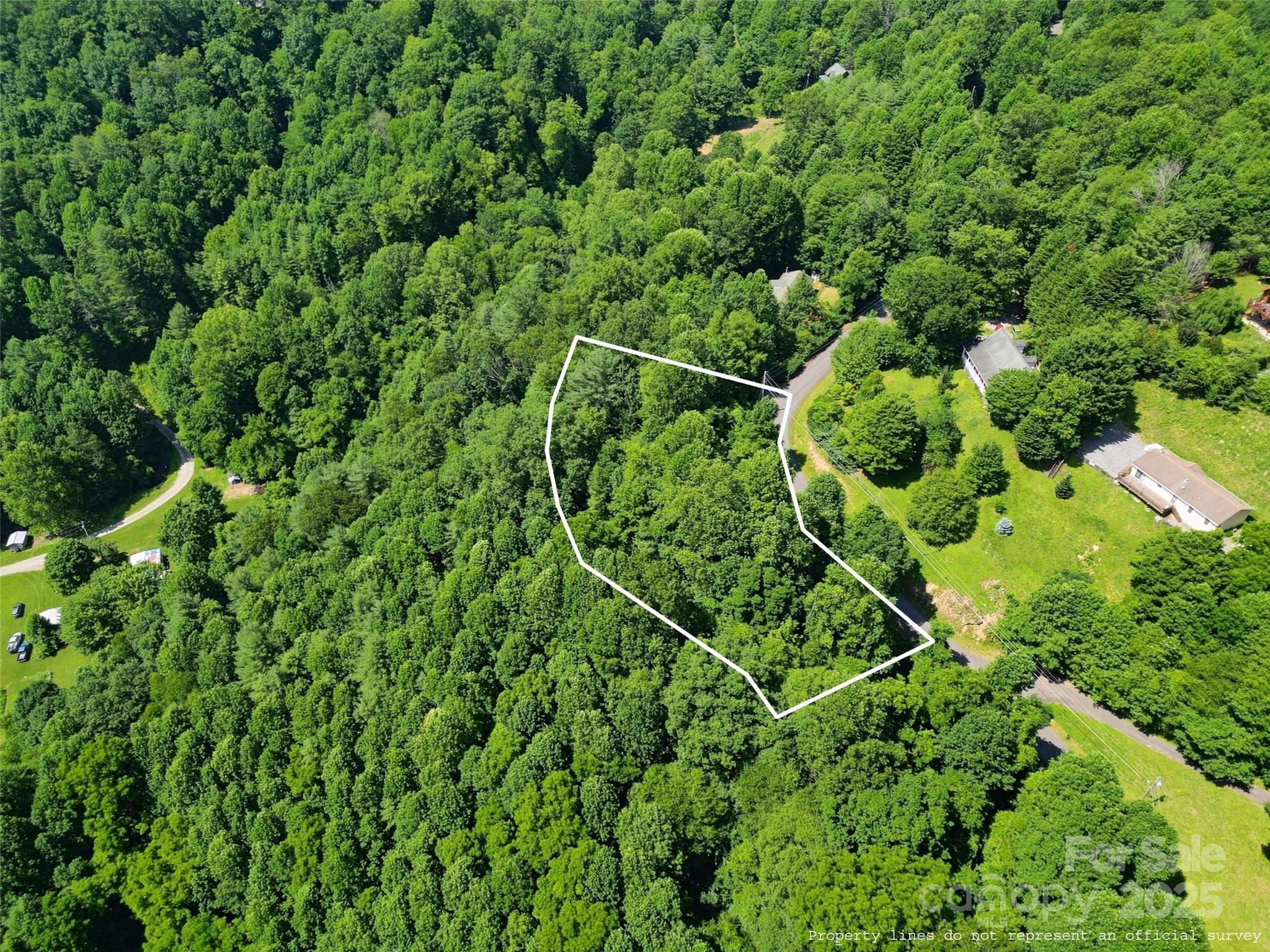 Hills Of Cataloochee - Land