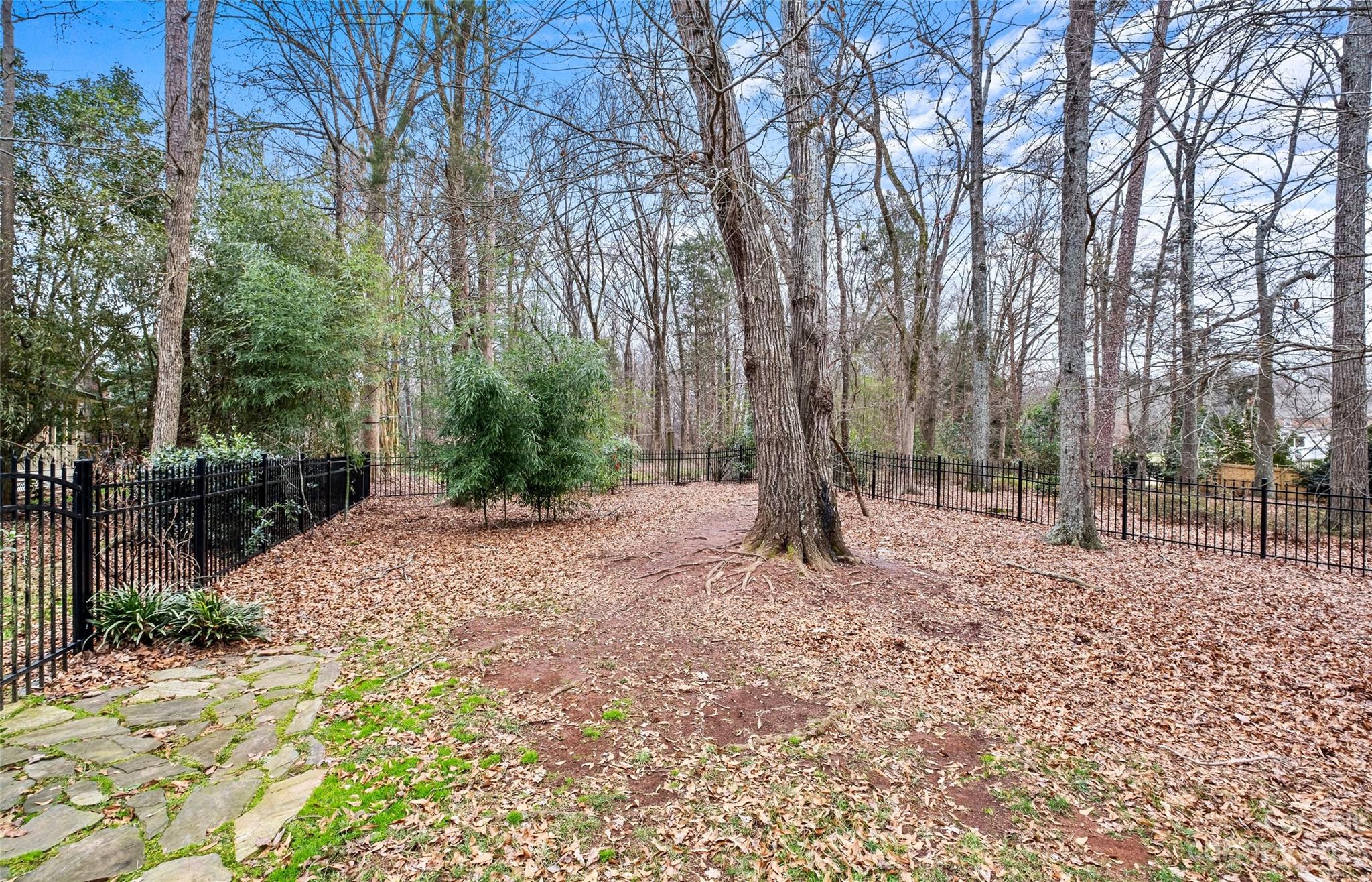 Carriage Downs - Residential