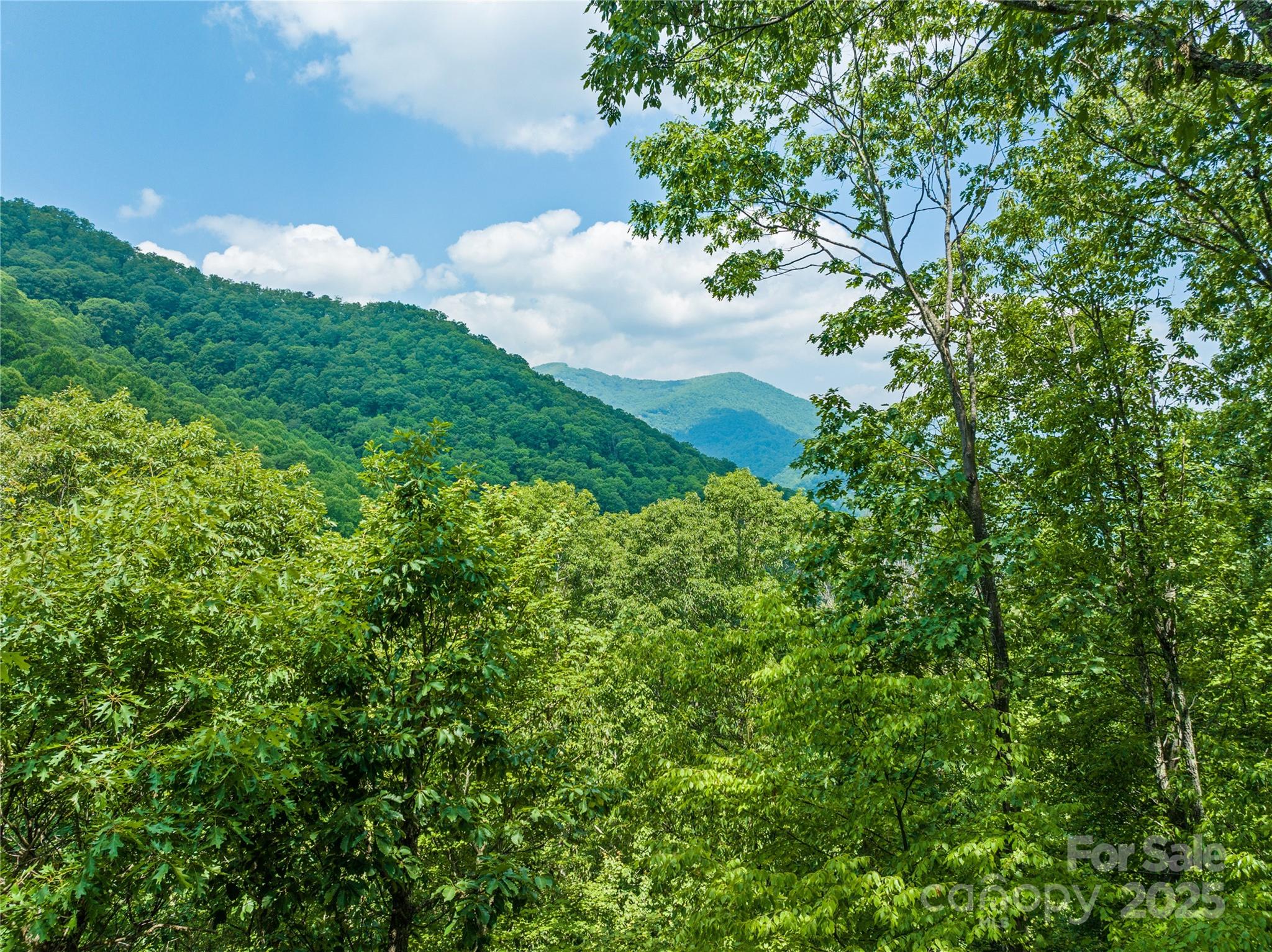 536 Tawodi Trail