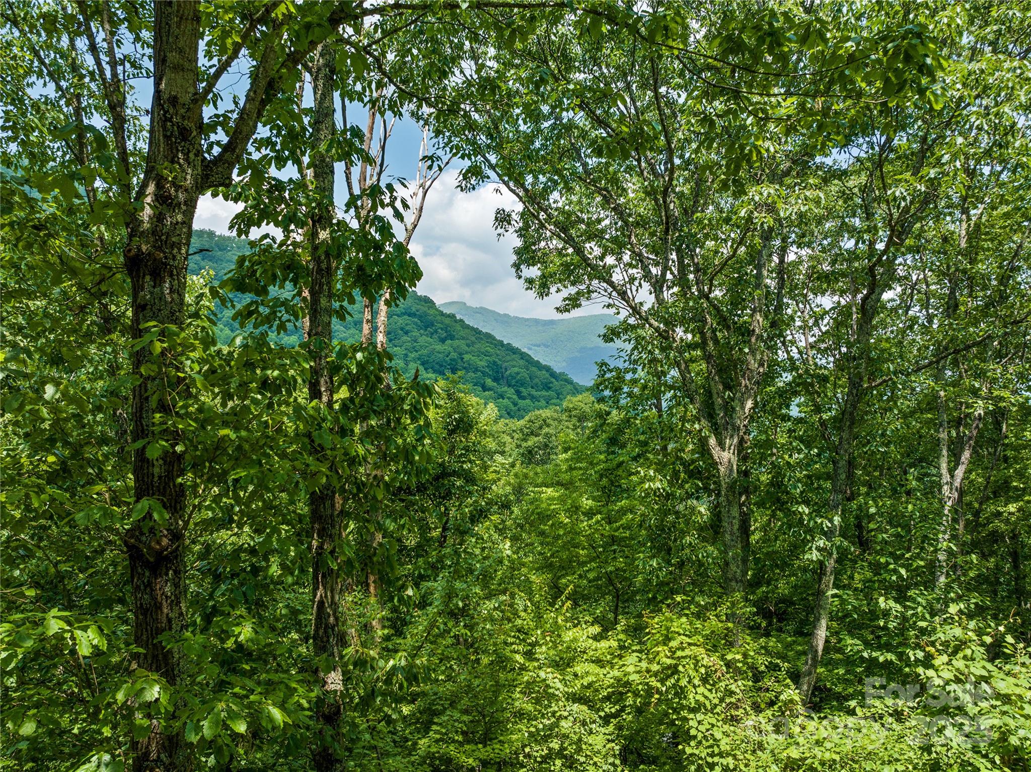 536 Tawodi Trail