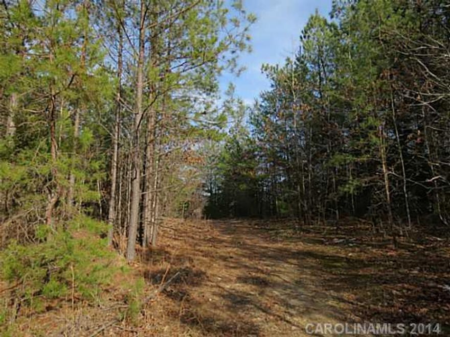 Beautiful large tract of land with a mix of mature pines & hardwoods. A nice creek is located on the back property line that is ideal for attracting an abundance of wildlife. Nice lg paths meander throughout the property, making this tract ideal for hunting, a private residence or just a large playground. The tract is rectangular in shape & has approx 1220' of frontage.Nice bottom ground in back.