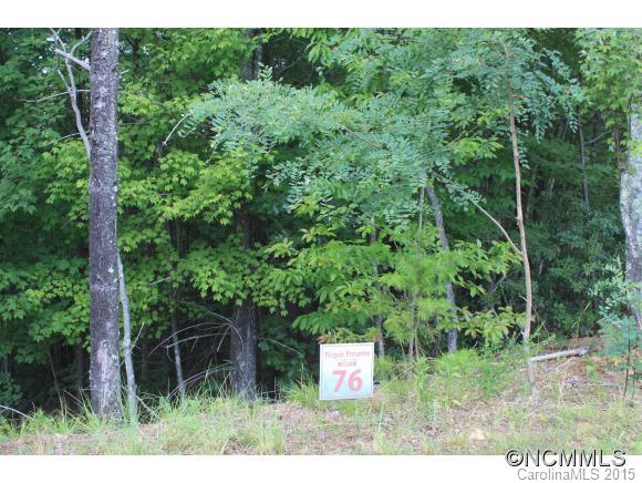 Pisgah Preserve - Land