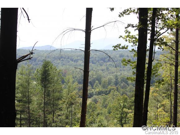 Pisgah Preserve - Land