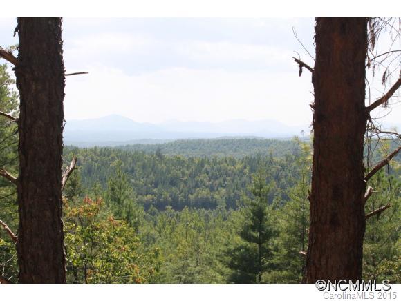 Pisgah Preserve - Land