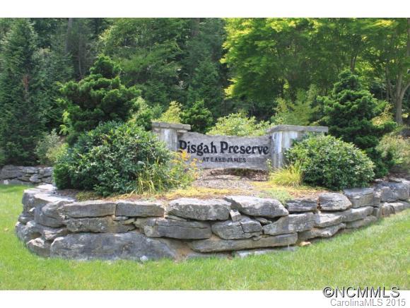 Pisgah Preserve - Land