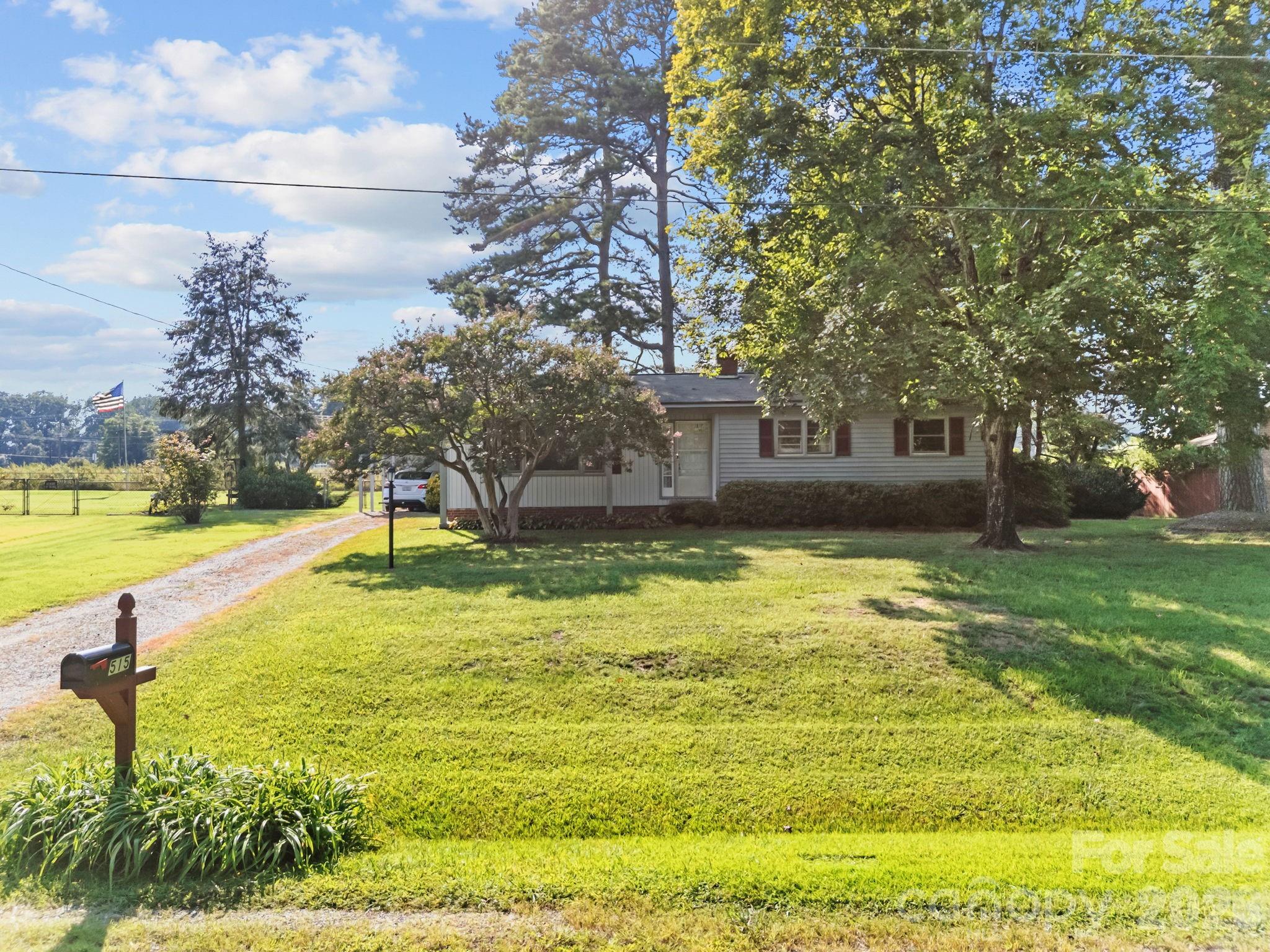 Pine Needles - Residential