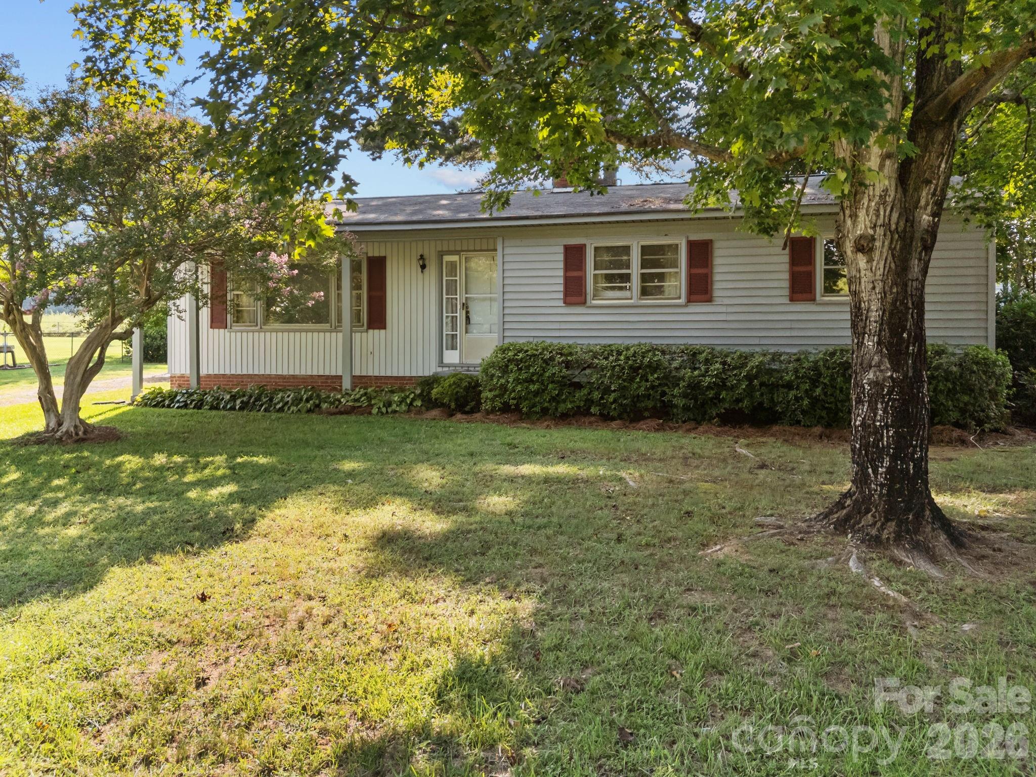 Pine Needles - Residential