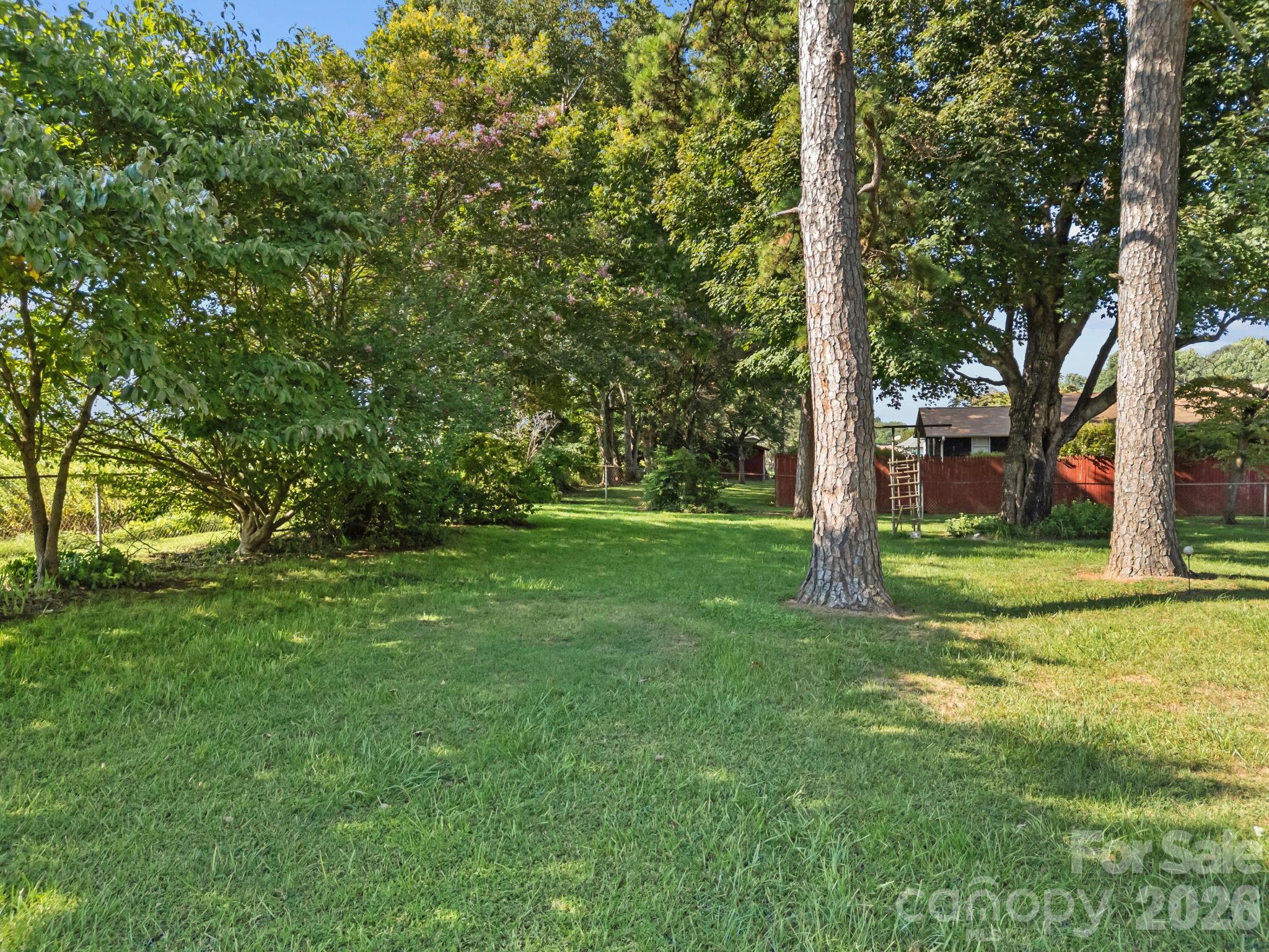 Pine Needles - Residential