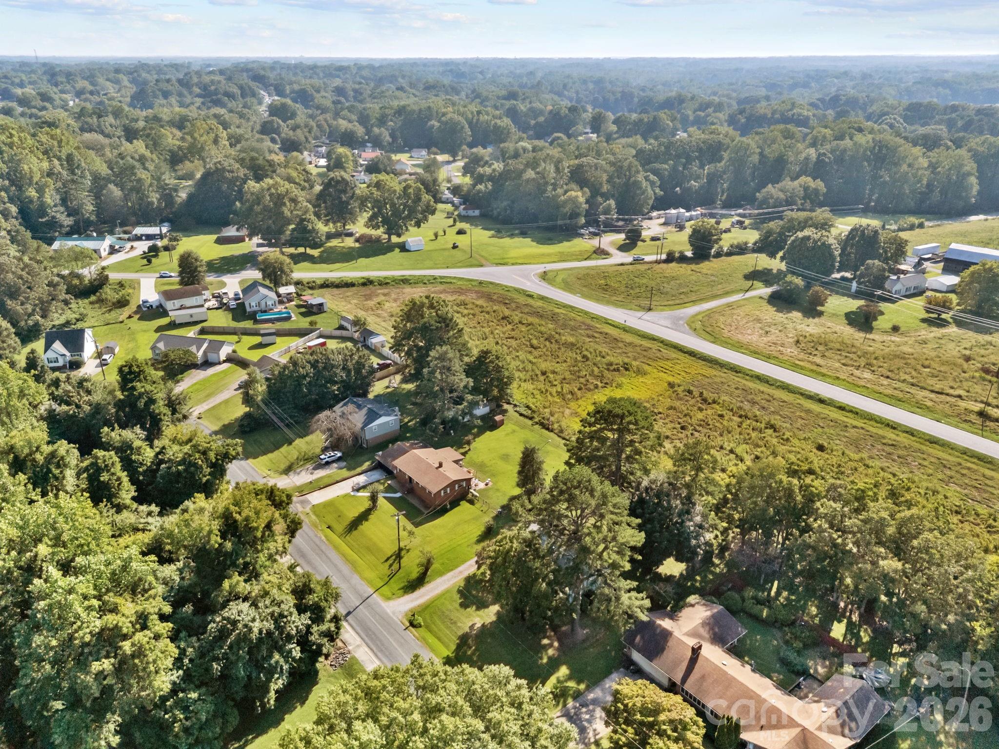 Pine Needles - Residential