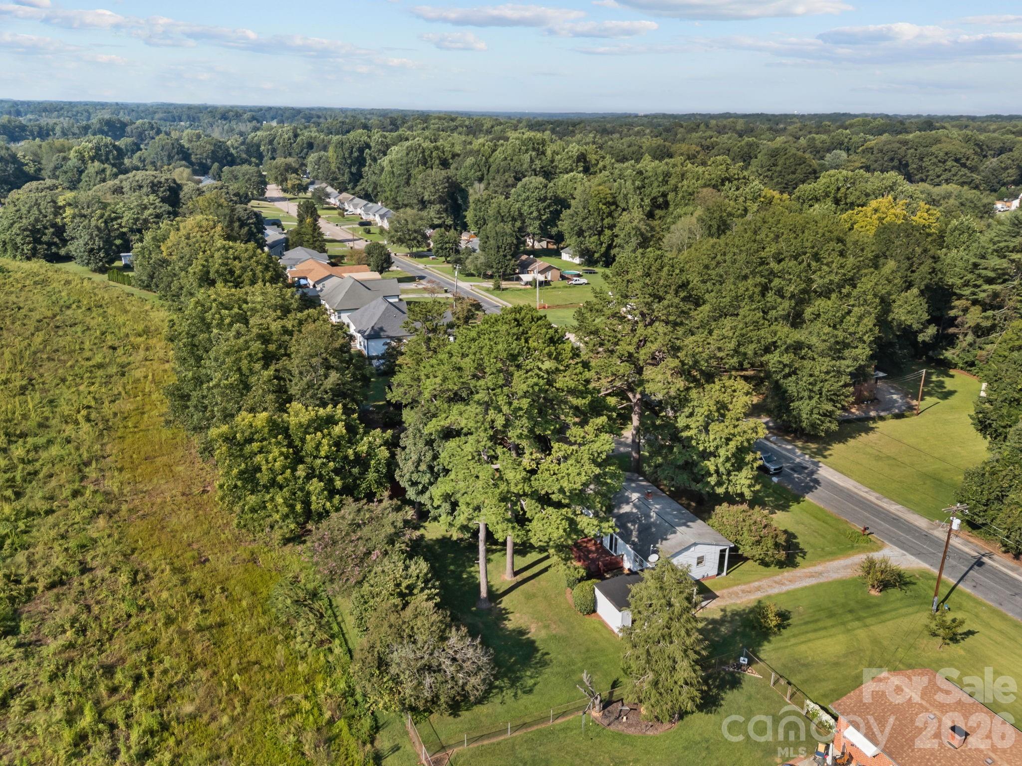Pine Needles - Residential