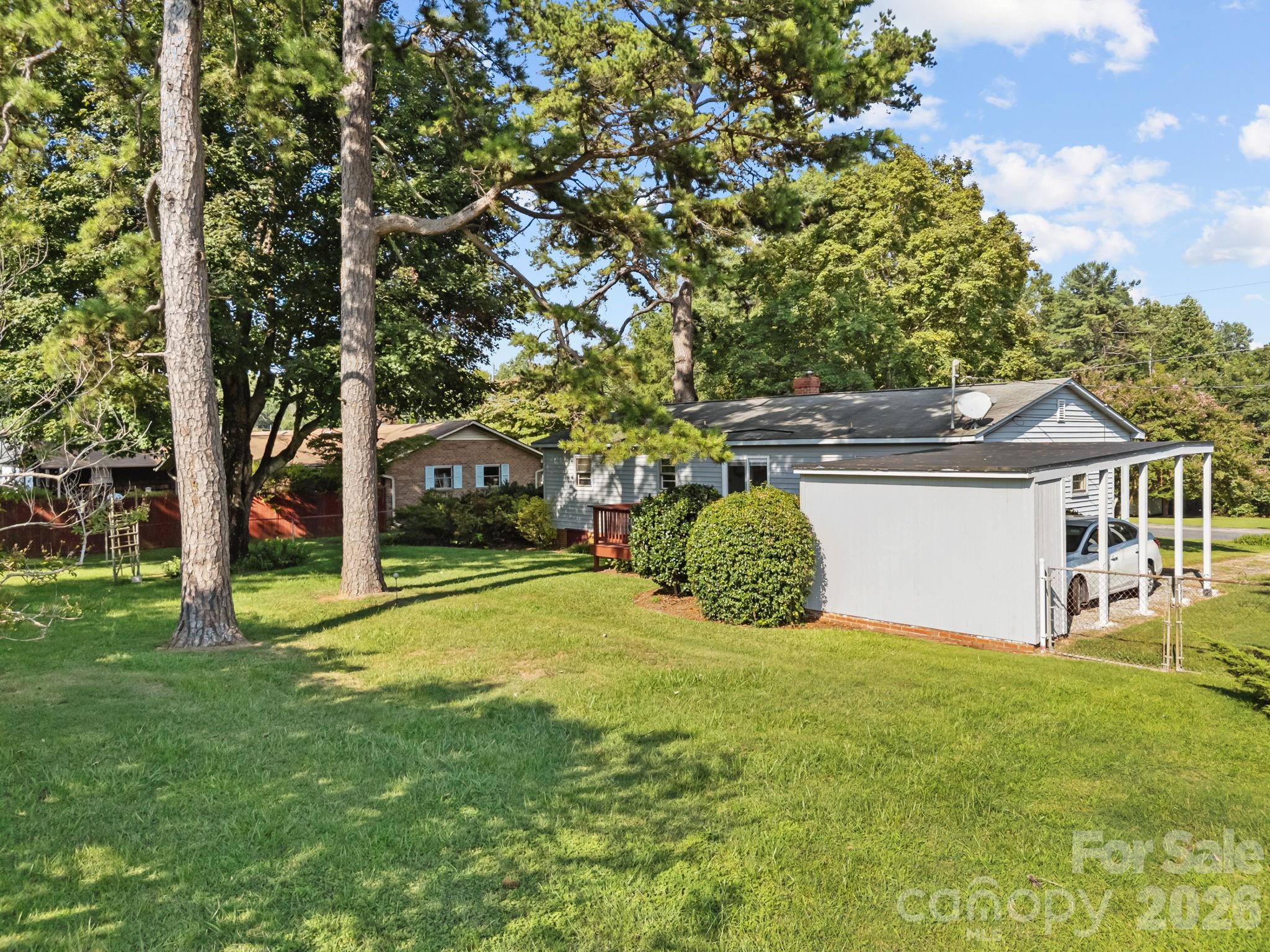 Pine Needles - Residential
