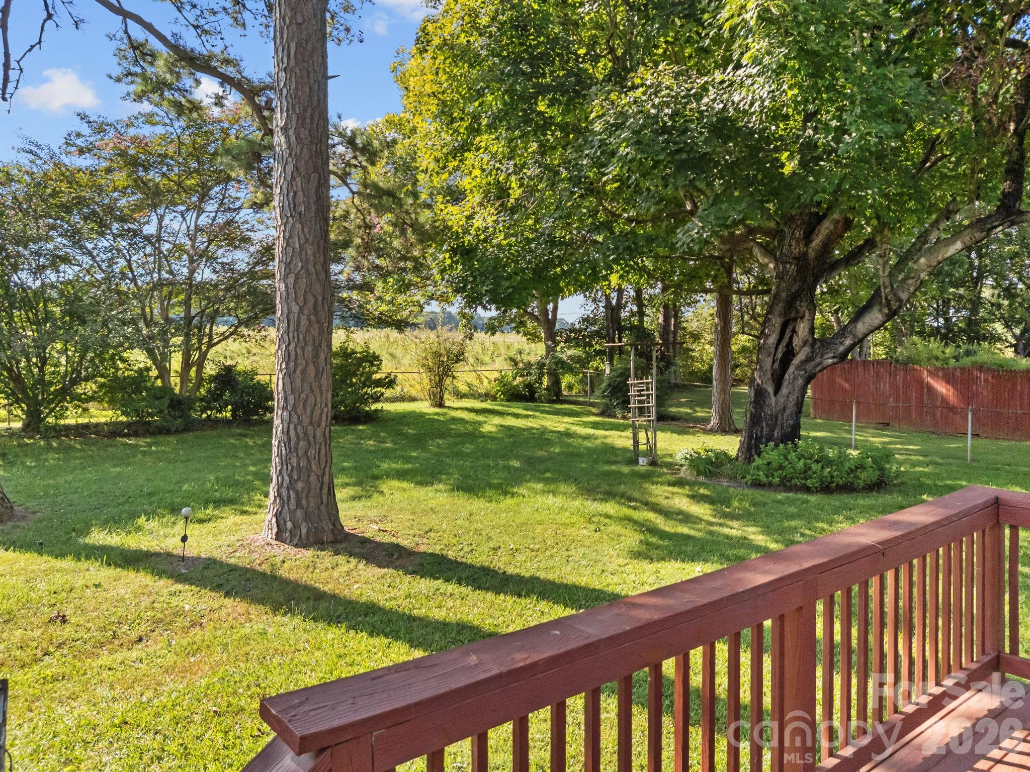 Pine Needles - Residential