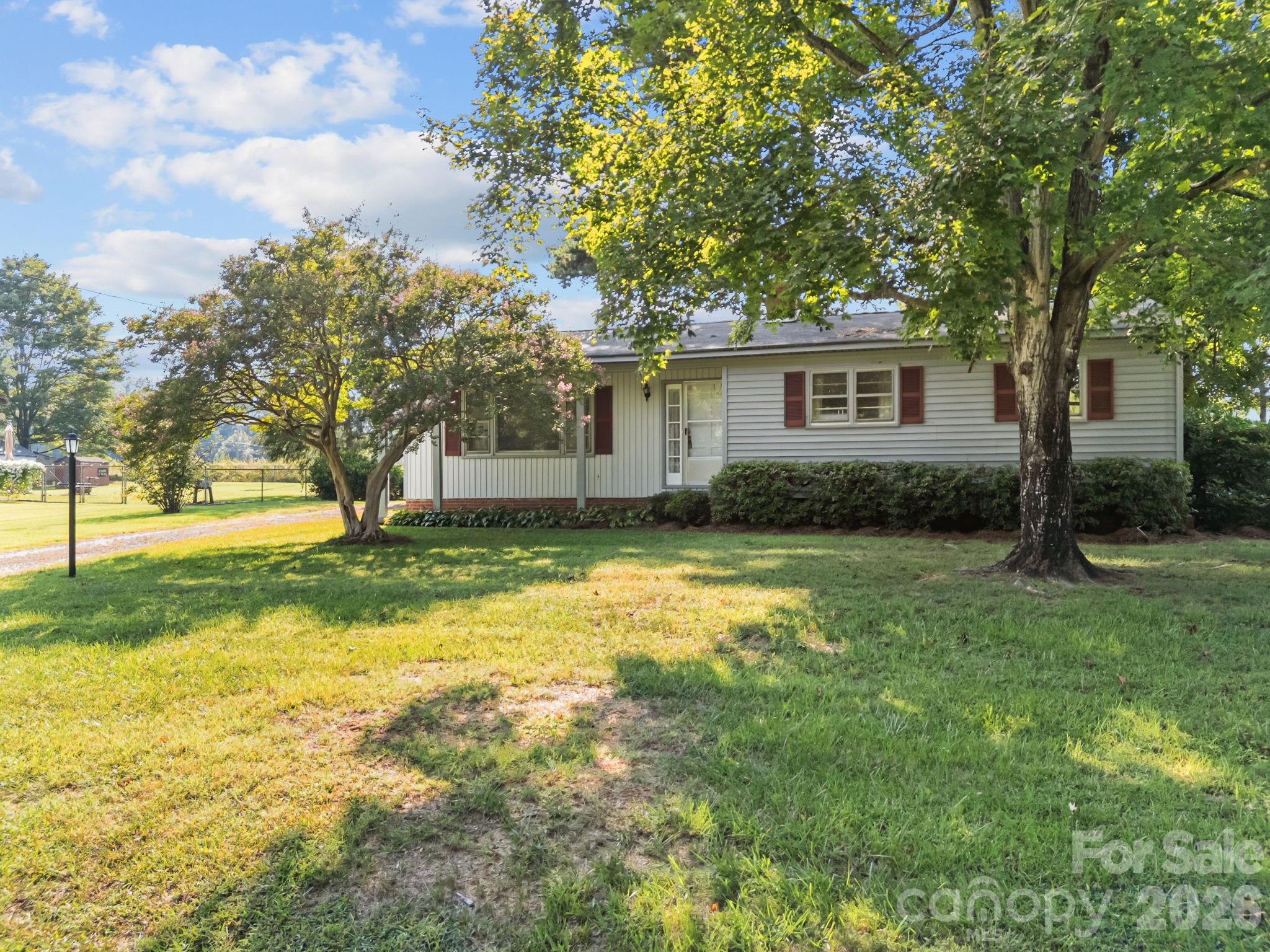 Pine Needles - Residential