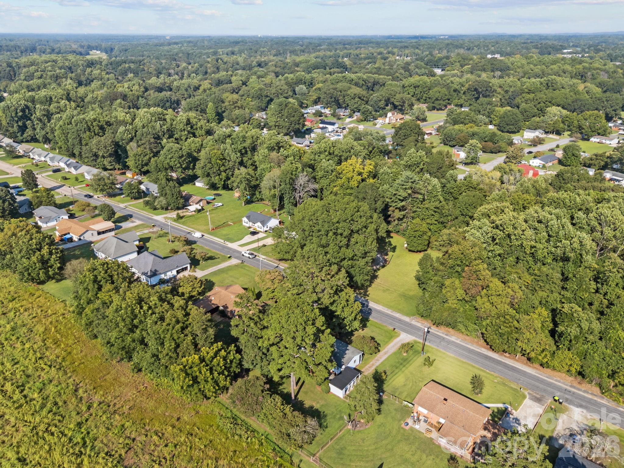 Pine Needles - Residential