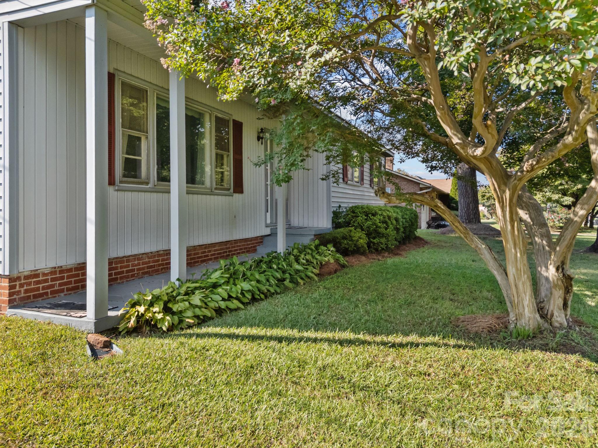 Pine Needles - Residential