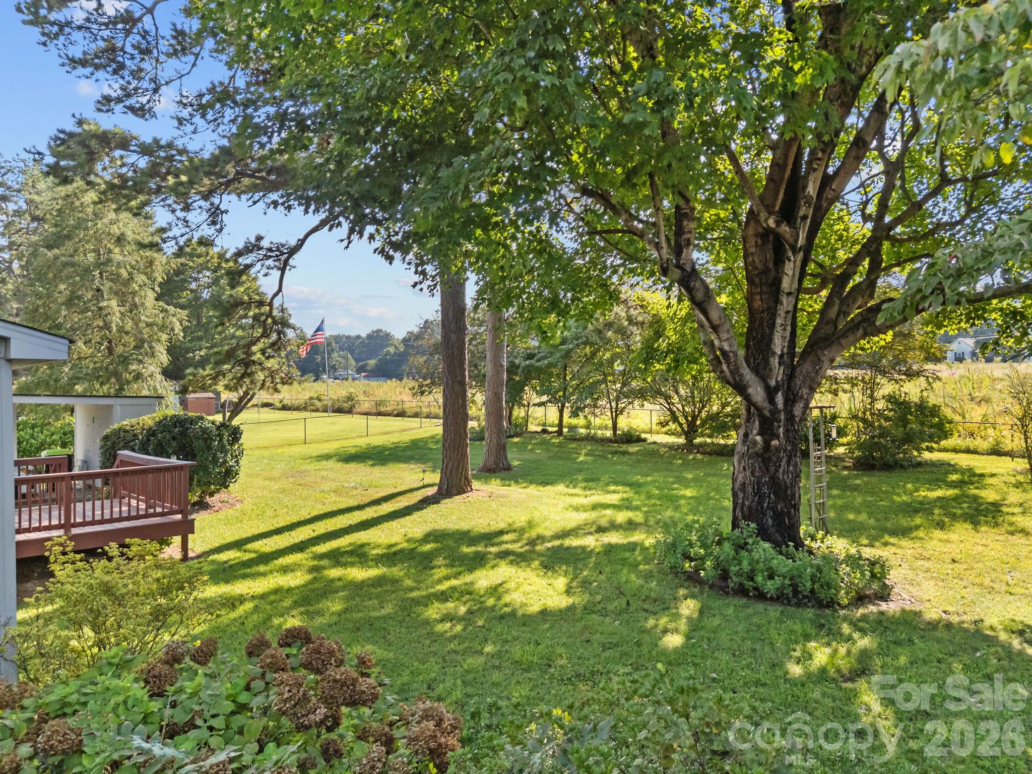Pine Needles - Residential