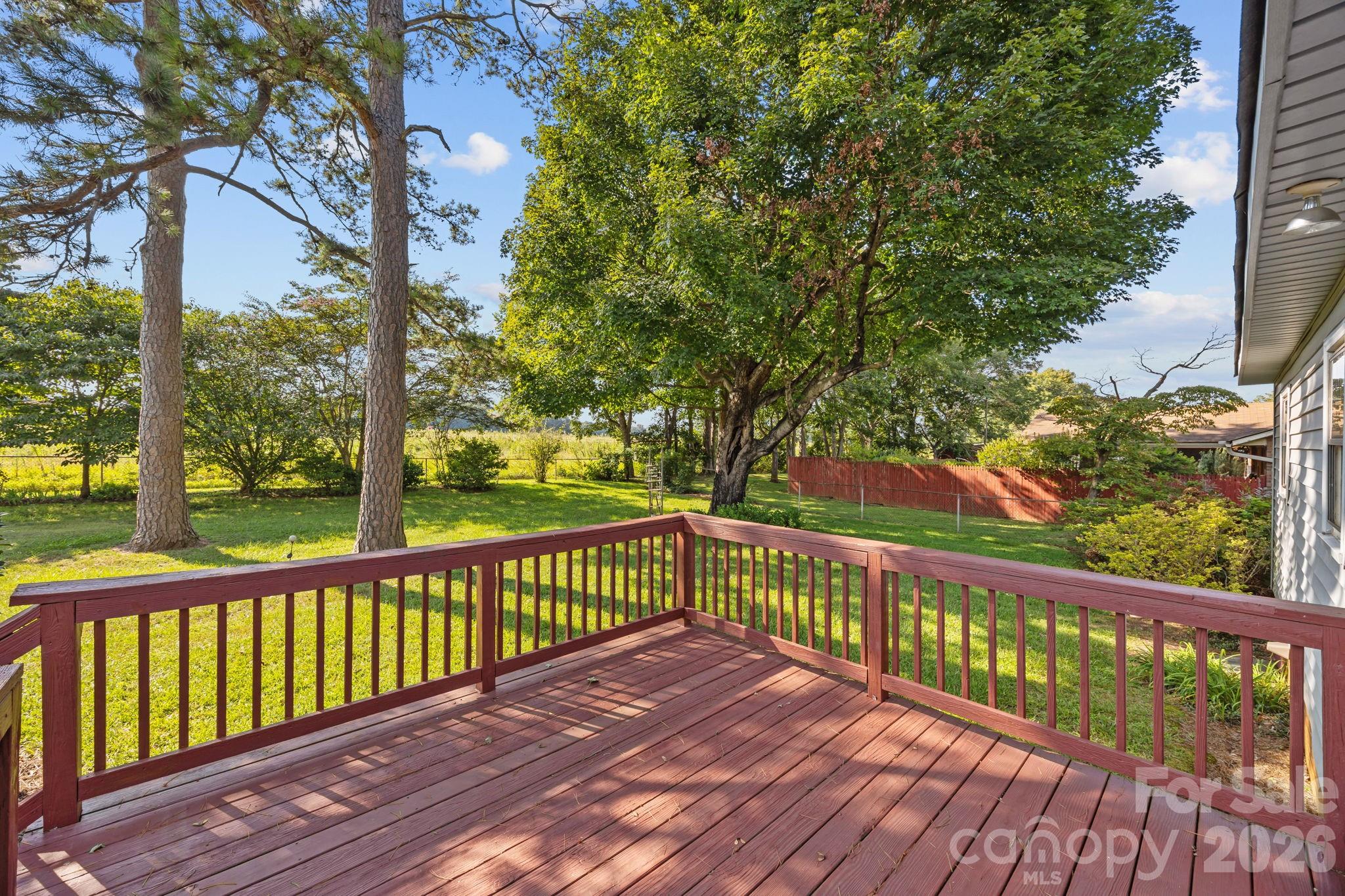 Pine Needles - Residential