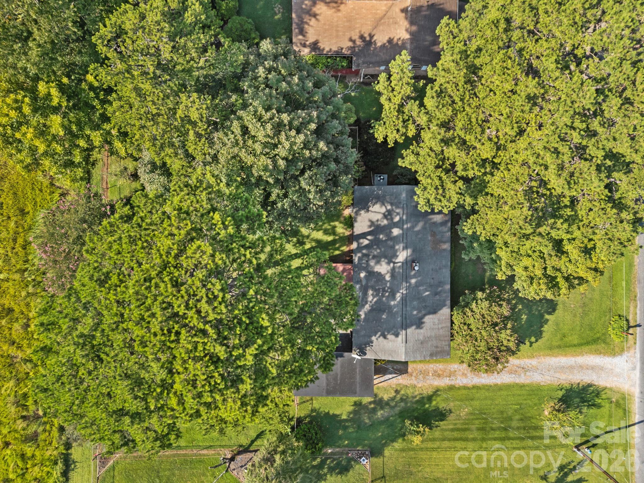 Pine Needles - Residential