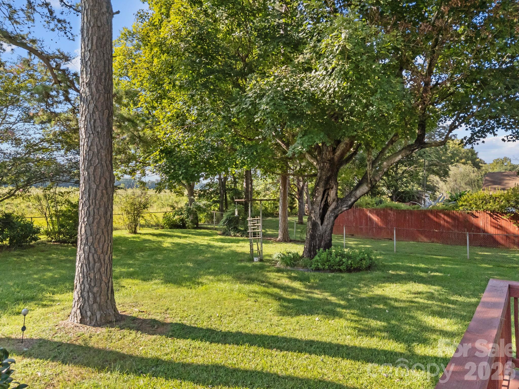 Pine Needles - Residential