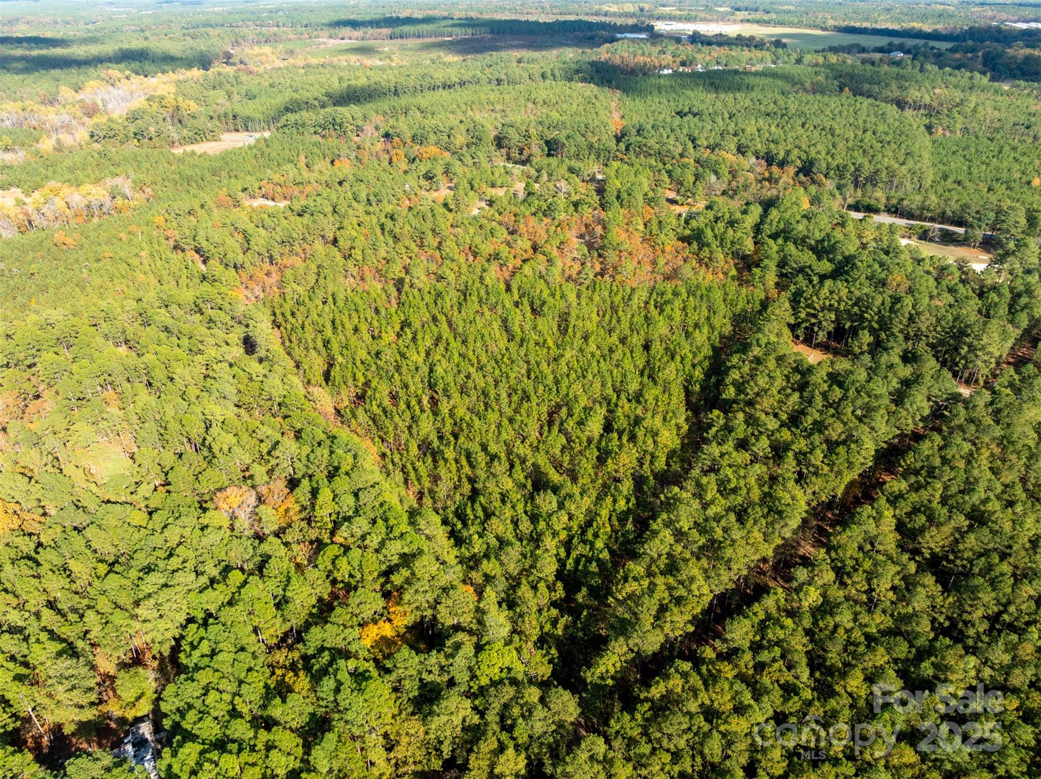 00 Louis Breeden Boulevard