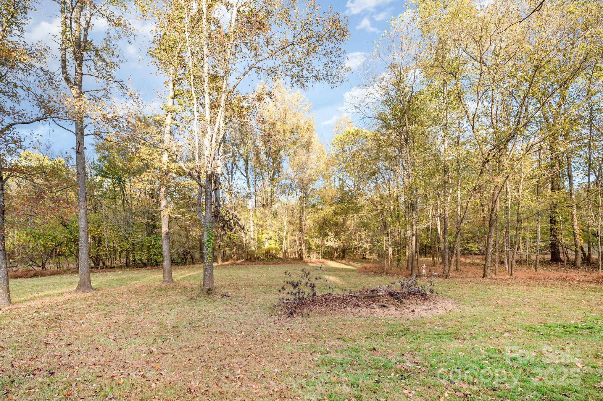 Timber Forest - Residential
