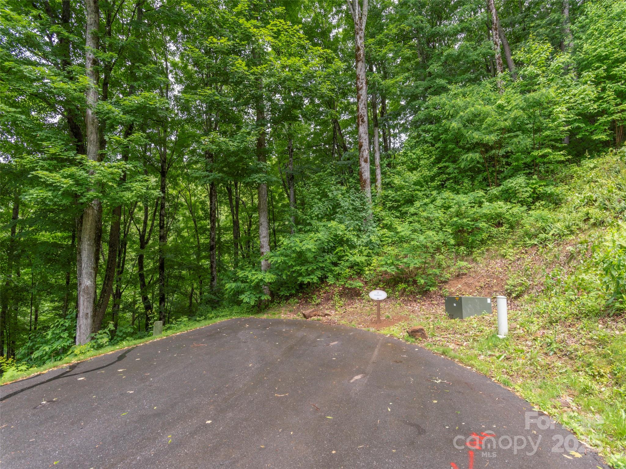 Highland Forest - Land