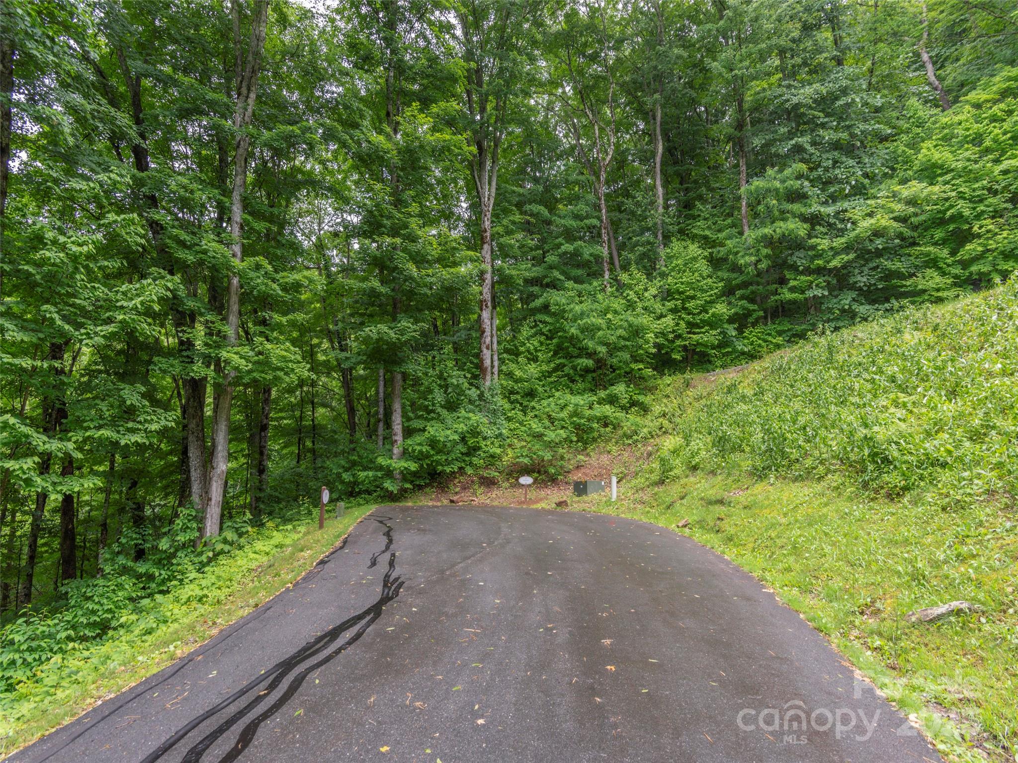 Highland Forest - Land