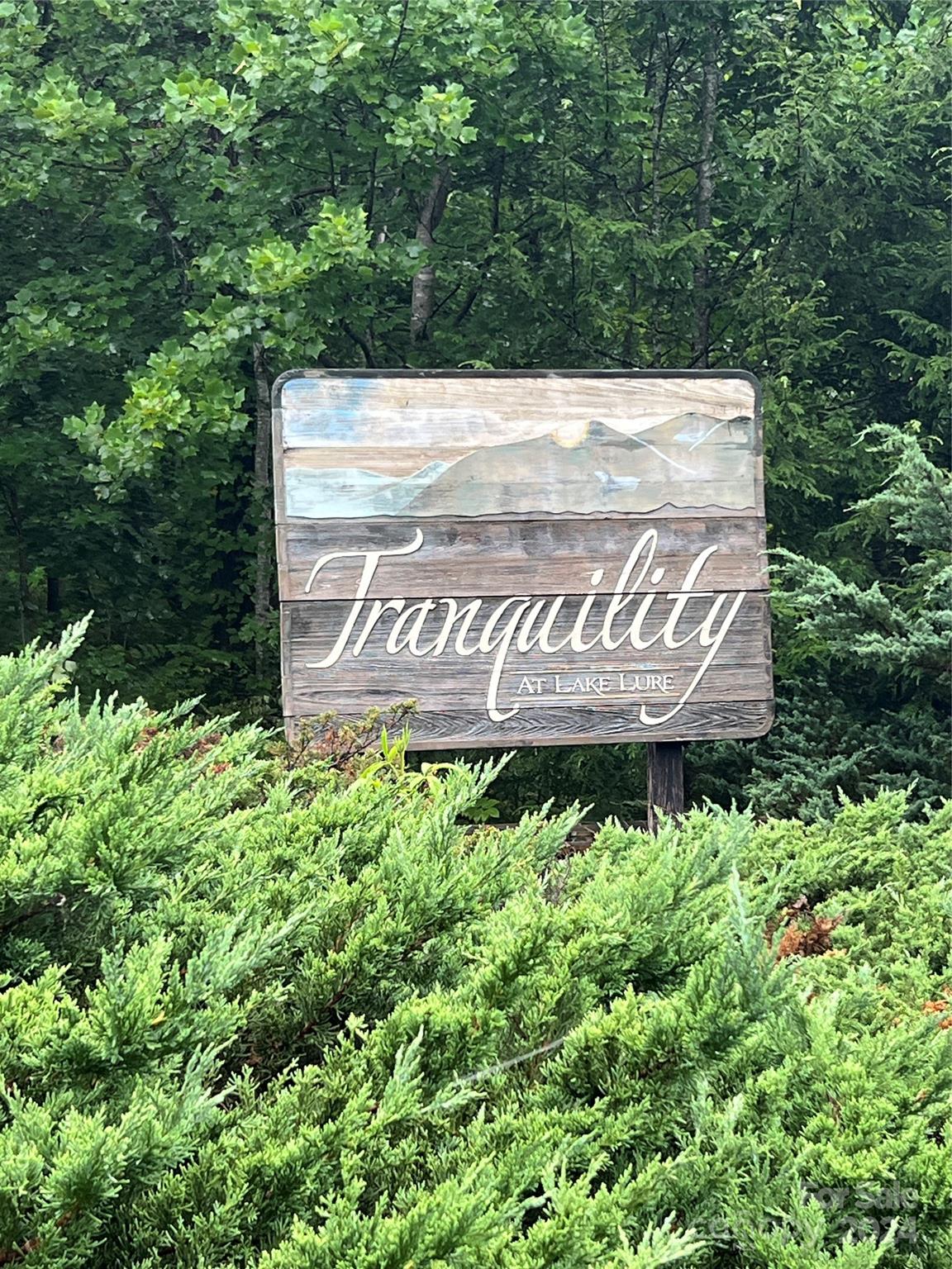 Tranquility at Lake Lure - Land