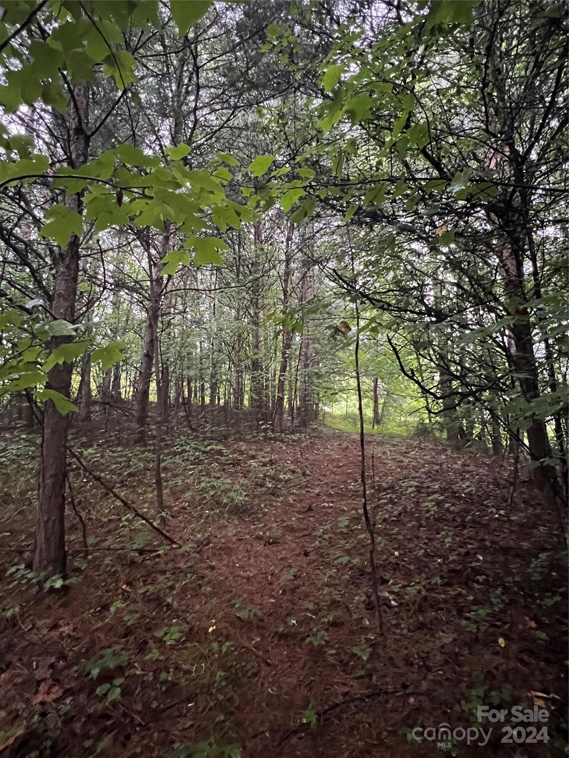 Tranquility at Lake Lure - Land