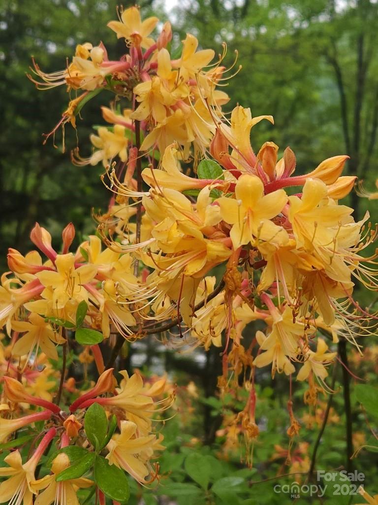 Sunshine Acres - Residential