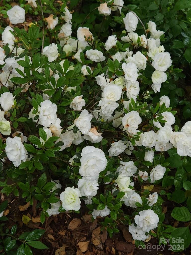 Sunshine Acres - Residential