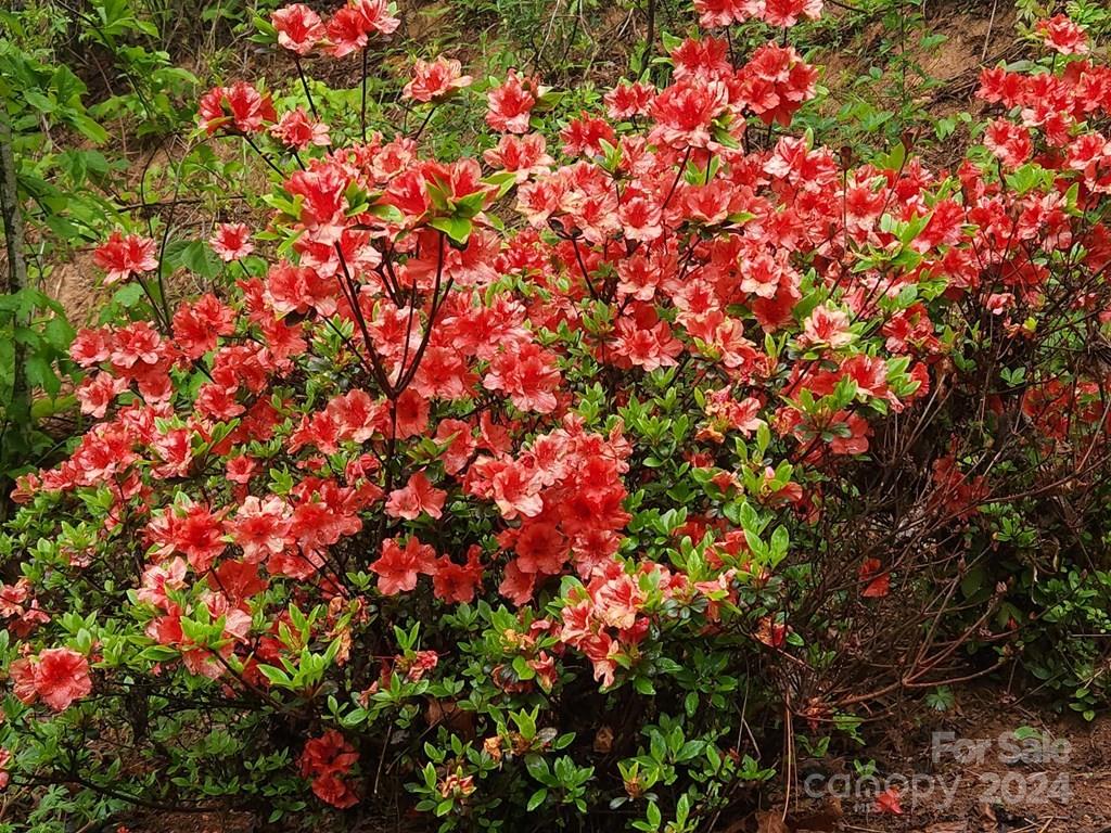 Sunshine Acres - Residential