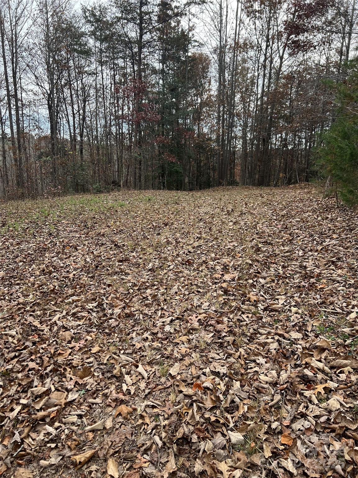 1405 Brannock Smith Drive