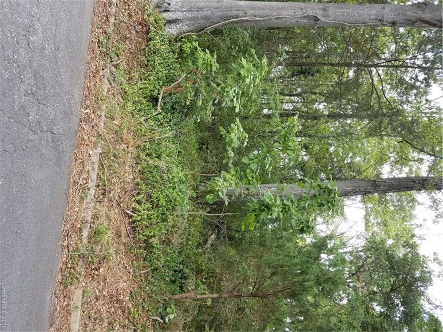 Great Lot close to Stowe park, Shopping , Dinning and schools.Buyer to verify zoning, water , sewer and building guidelines.